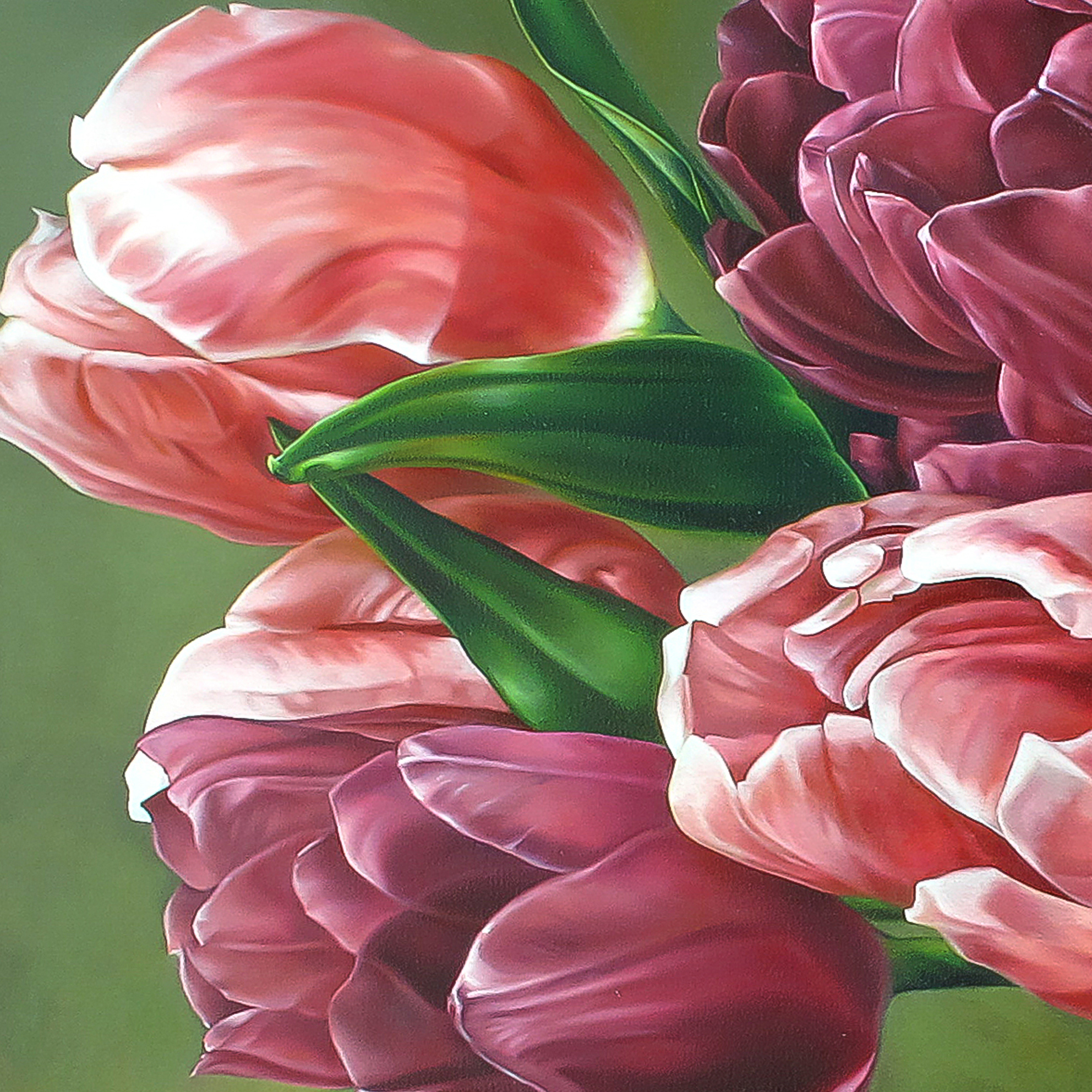 Cận cảnh từng cánh hoa tulip dịu dàng
