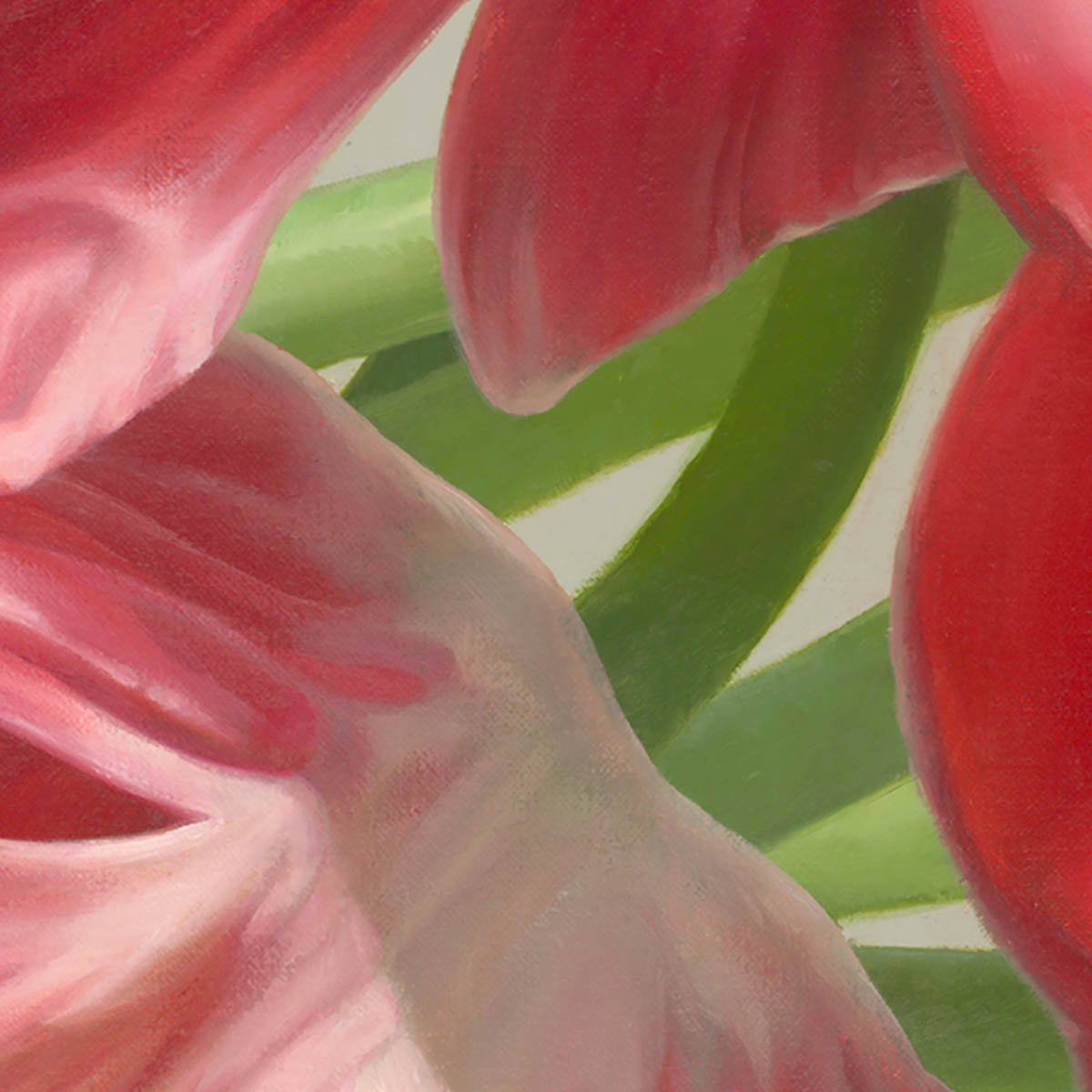 Tranh hoa tulip màu đỏ tả thực đẹp cuốn hút.